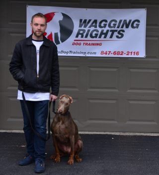 Day Training training with Wagging Rights
