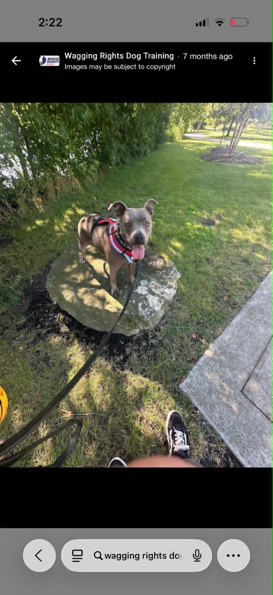 Day Training training with Wagging Rights
